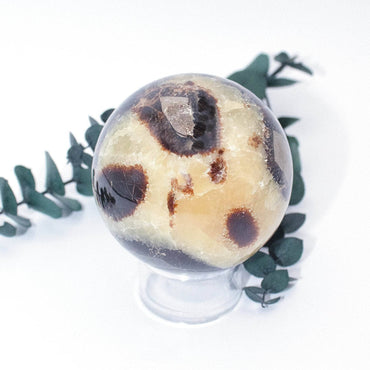 Black Septarian Sphere - AAA Premium Quality