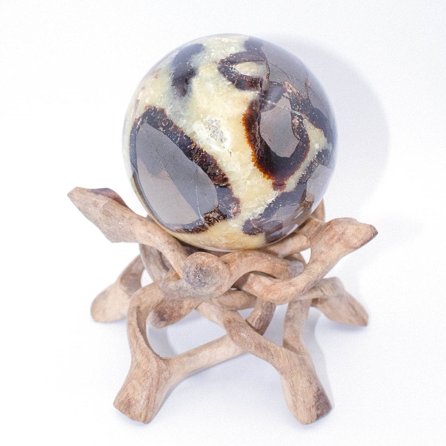 Black Septarian Sphere - AAA Premium Quality