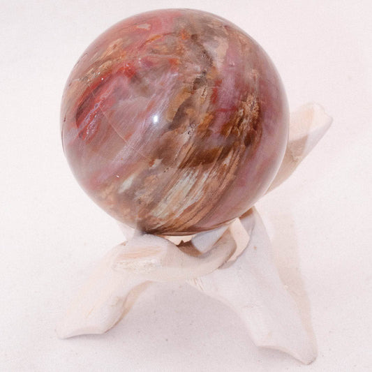 Petrified Wood Sphere - AAA Premium Quality