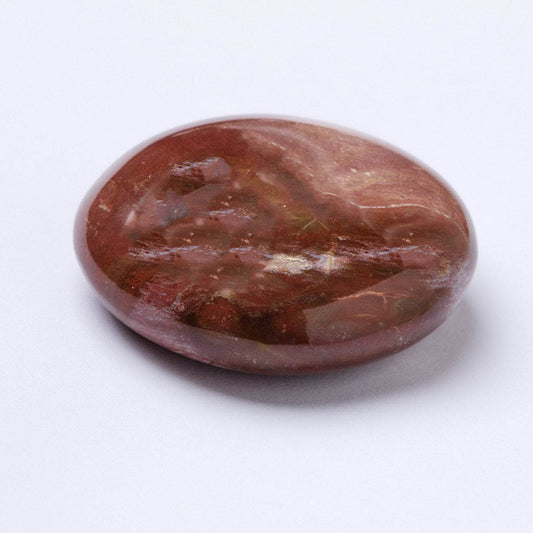 Petrified Wood Palm Stones - AAA Premium Quality