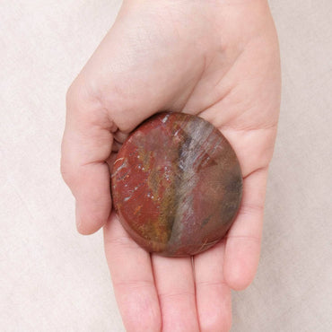 Petrified Wood Palm Stones - AAA Premium Quality