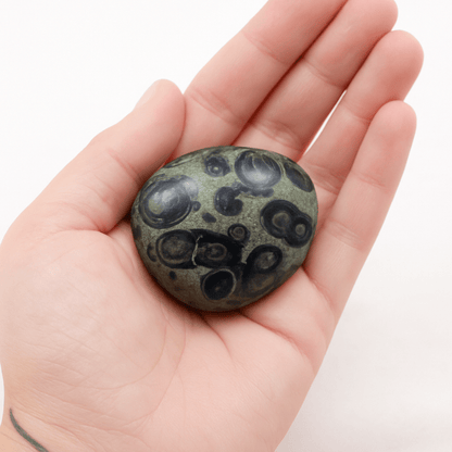 Kambaba Jasper Palm Stones - AAA Premium Quality