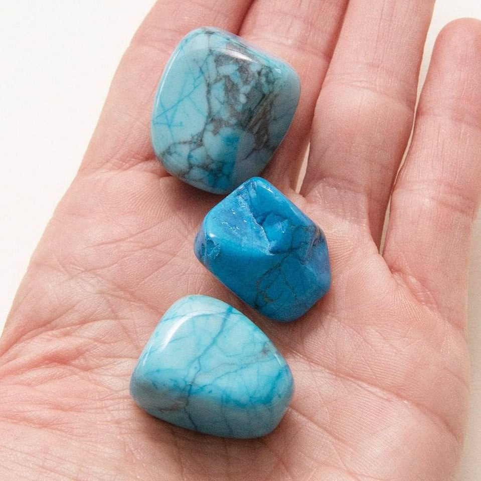 Turquoise Howlite Stone Set