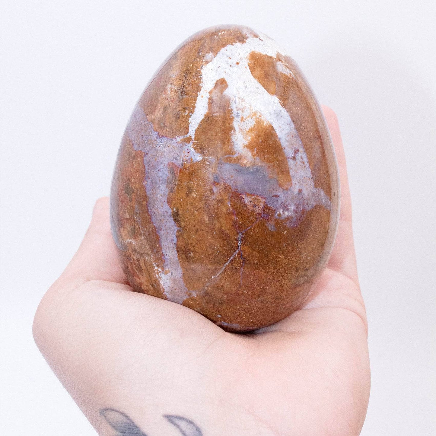 Petrified Wood Egg - AAA Premium Quality