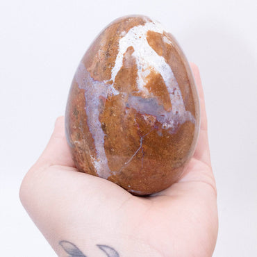Petrified Wood Egg - AAA Premium Quality