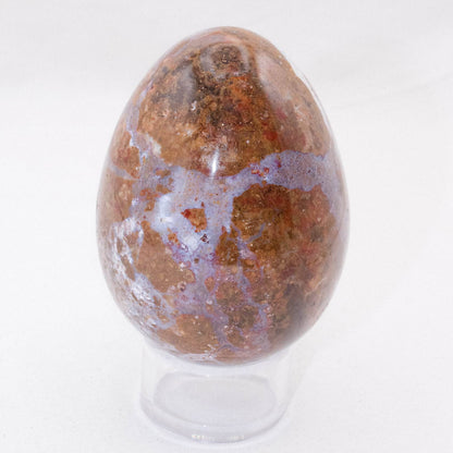 Petrified Wood Egg - AAA Premium Quality