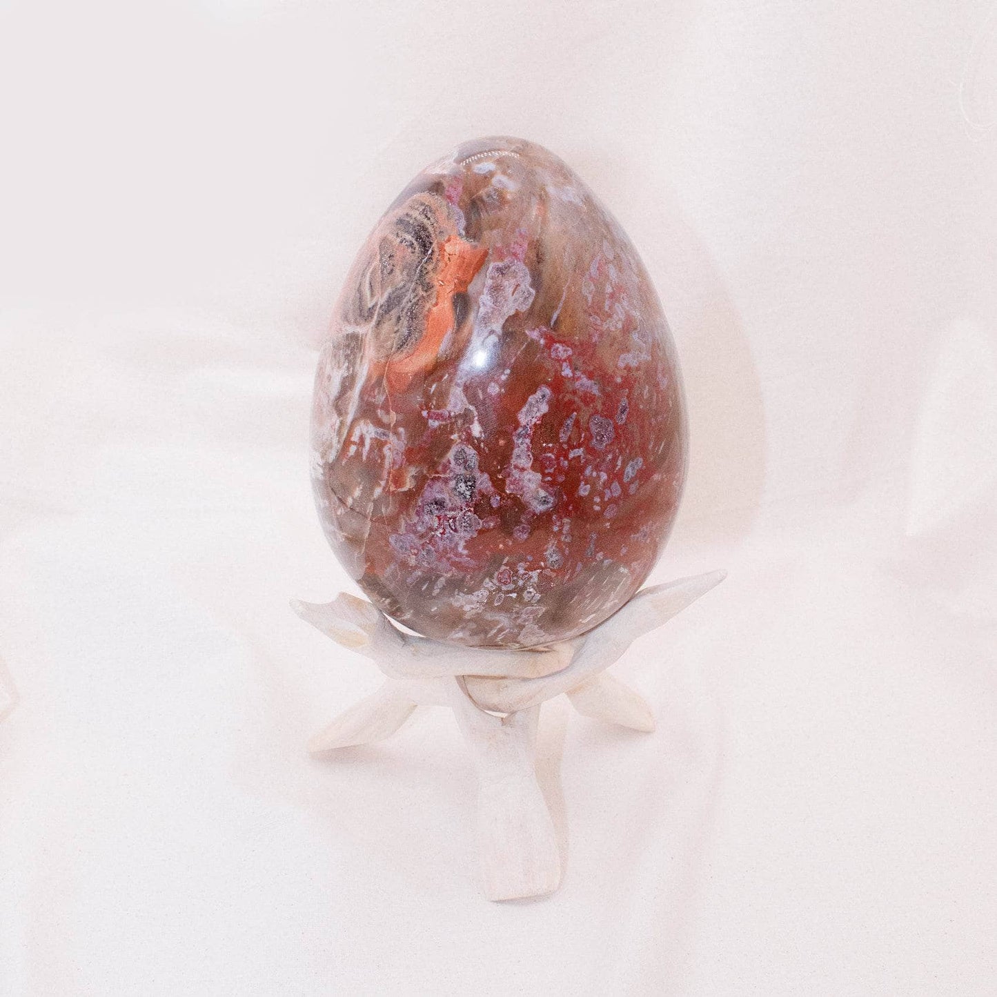 Petrified Wood Egg - AAA Premium Quality