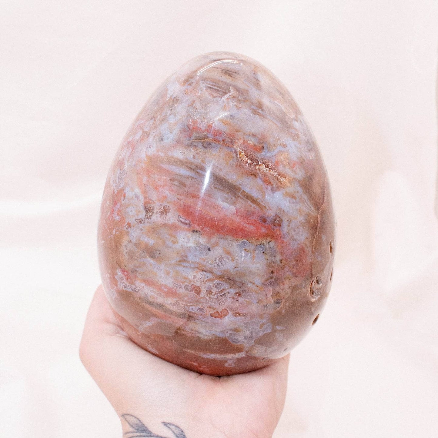 Petrified Wood Egg - AAA Premium Quality