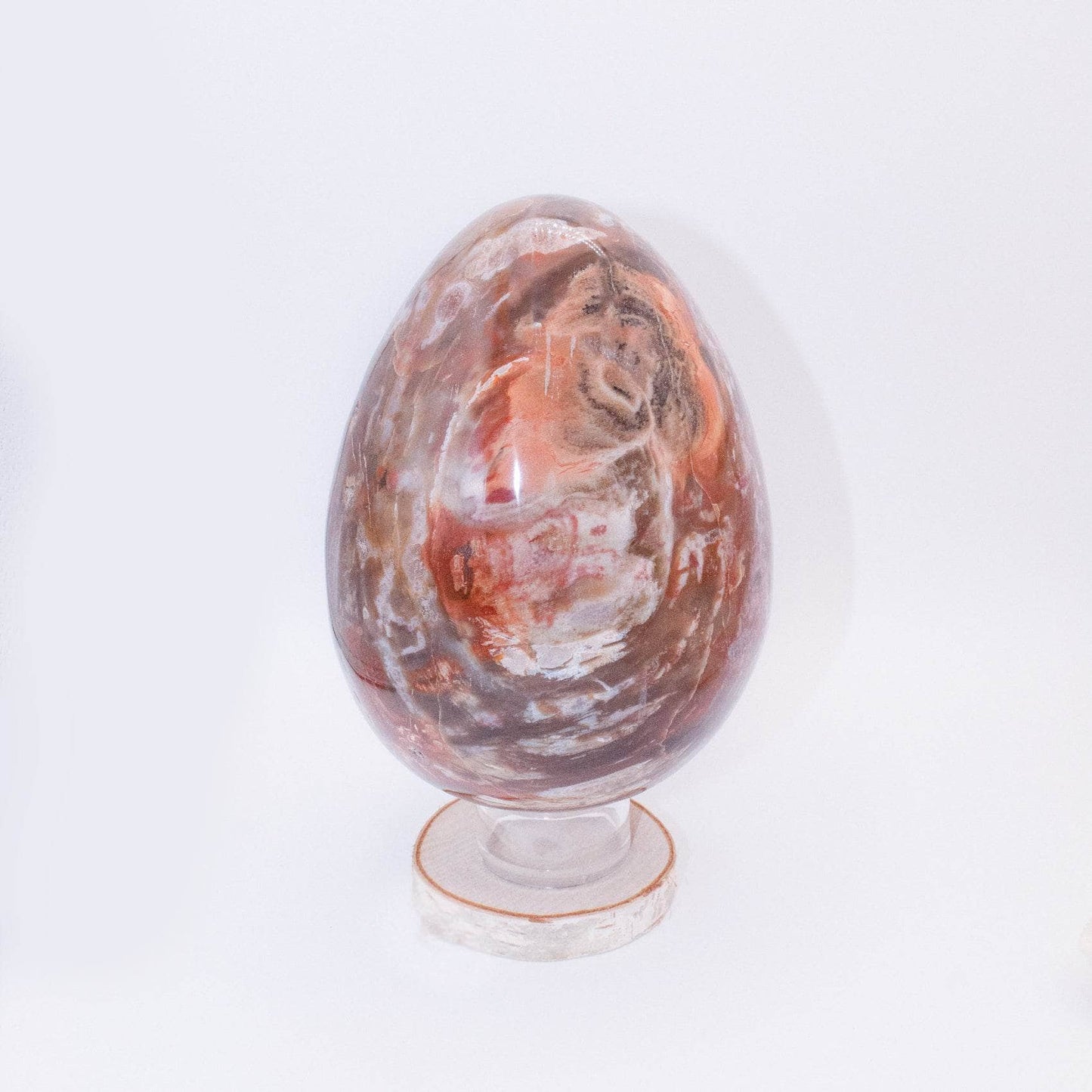 Petrified Wood Egg - AAA Premium Quality