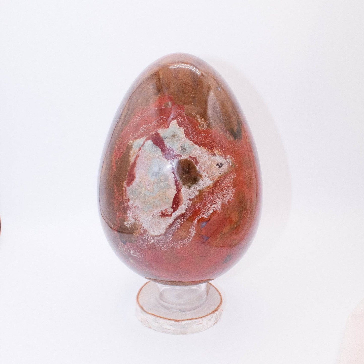Petrified Wood Egg - AAA Premium Quality