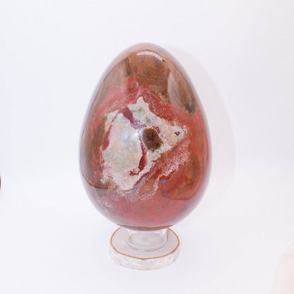 Petrified Wood Egg - AAA Premium Quality