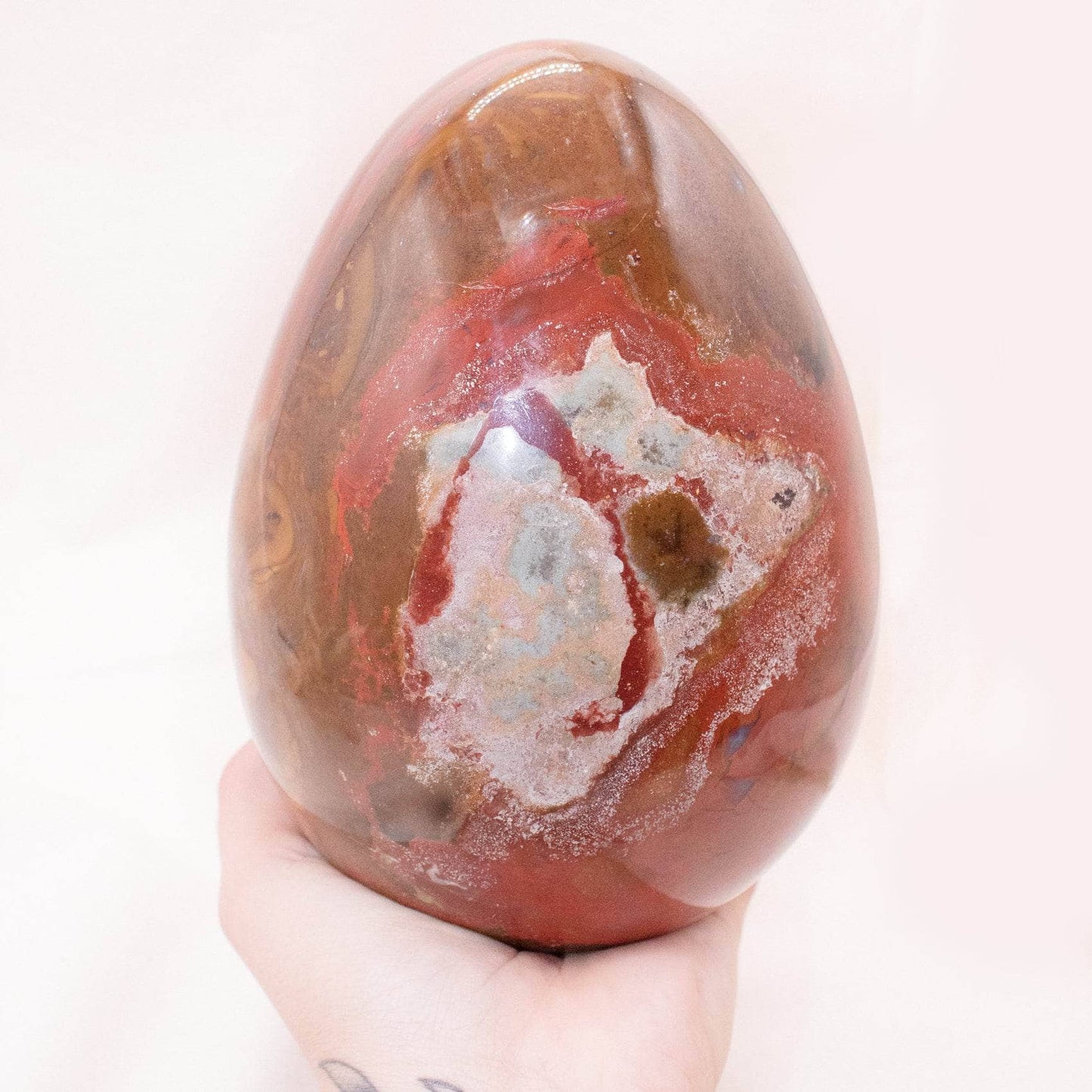 Petrified Wood Egg - AAA Premium Quality