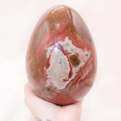 Petrified Wood Egg - AAA Premium Quality