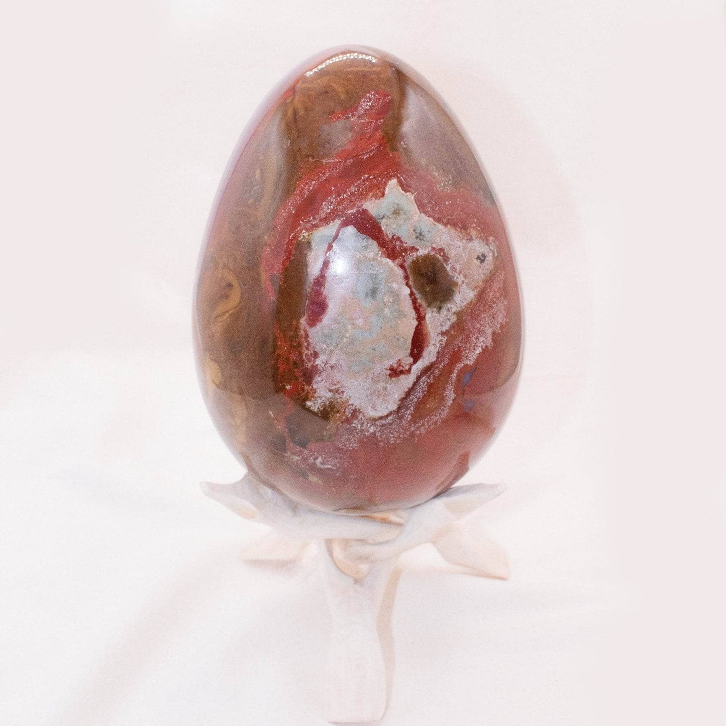 Petrified Wood Egg - AAA Premium Quality