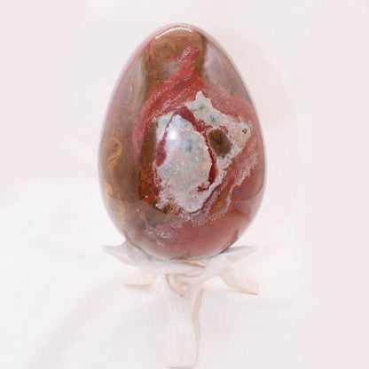Petrified Wood Egg - AAA Premium Quality