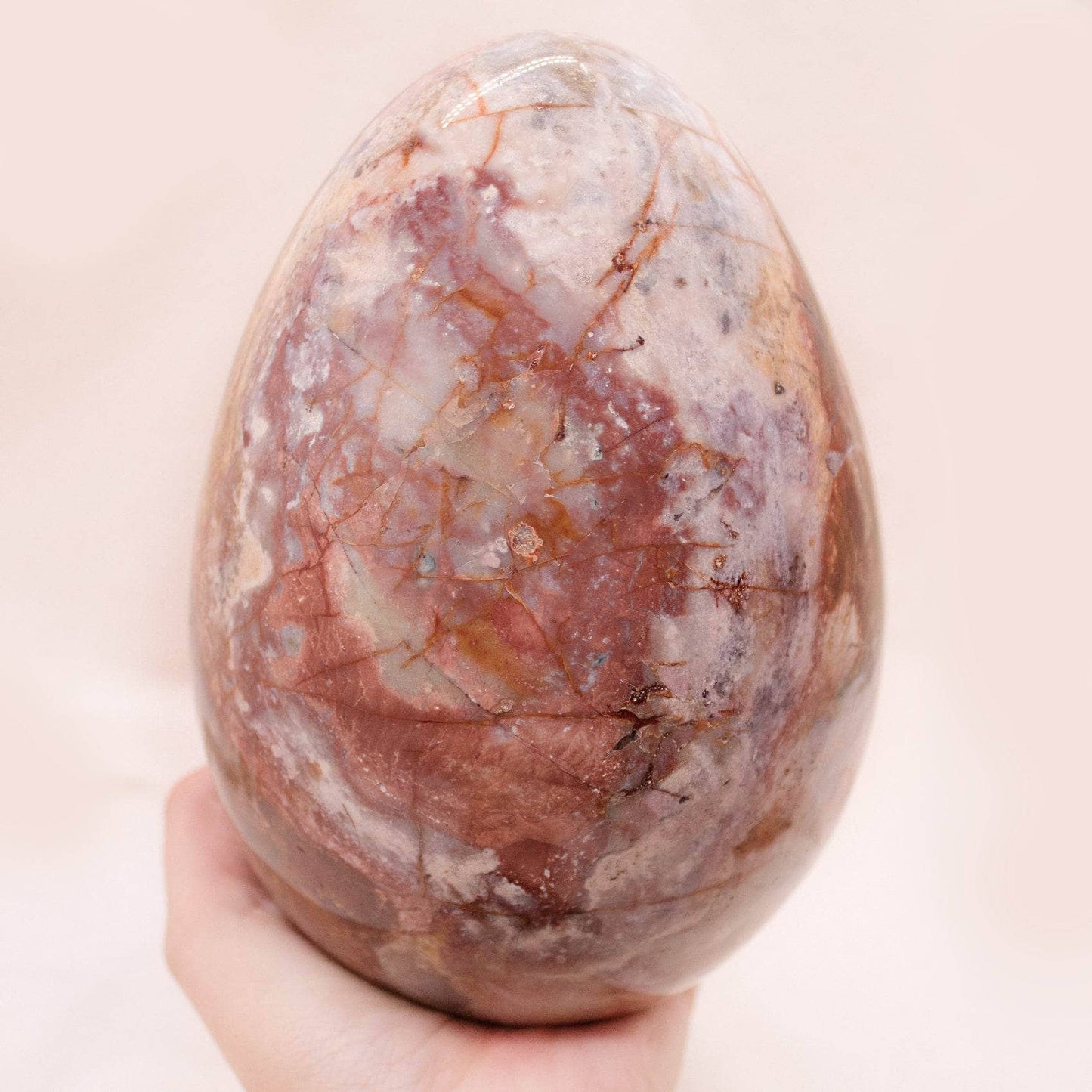 Petrified Wood Egg - AAA Premium Quality
