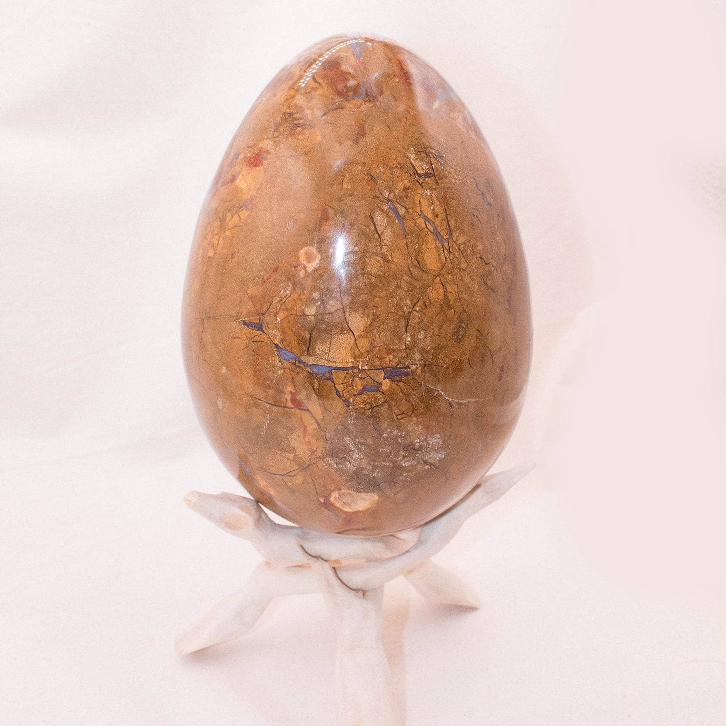 Petrified Wood Egg - AAA Premium Quality