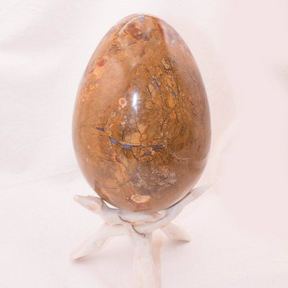 Petrified Wood Egg - AAA Premium Quality