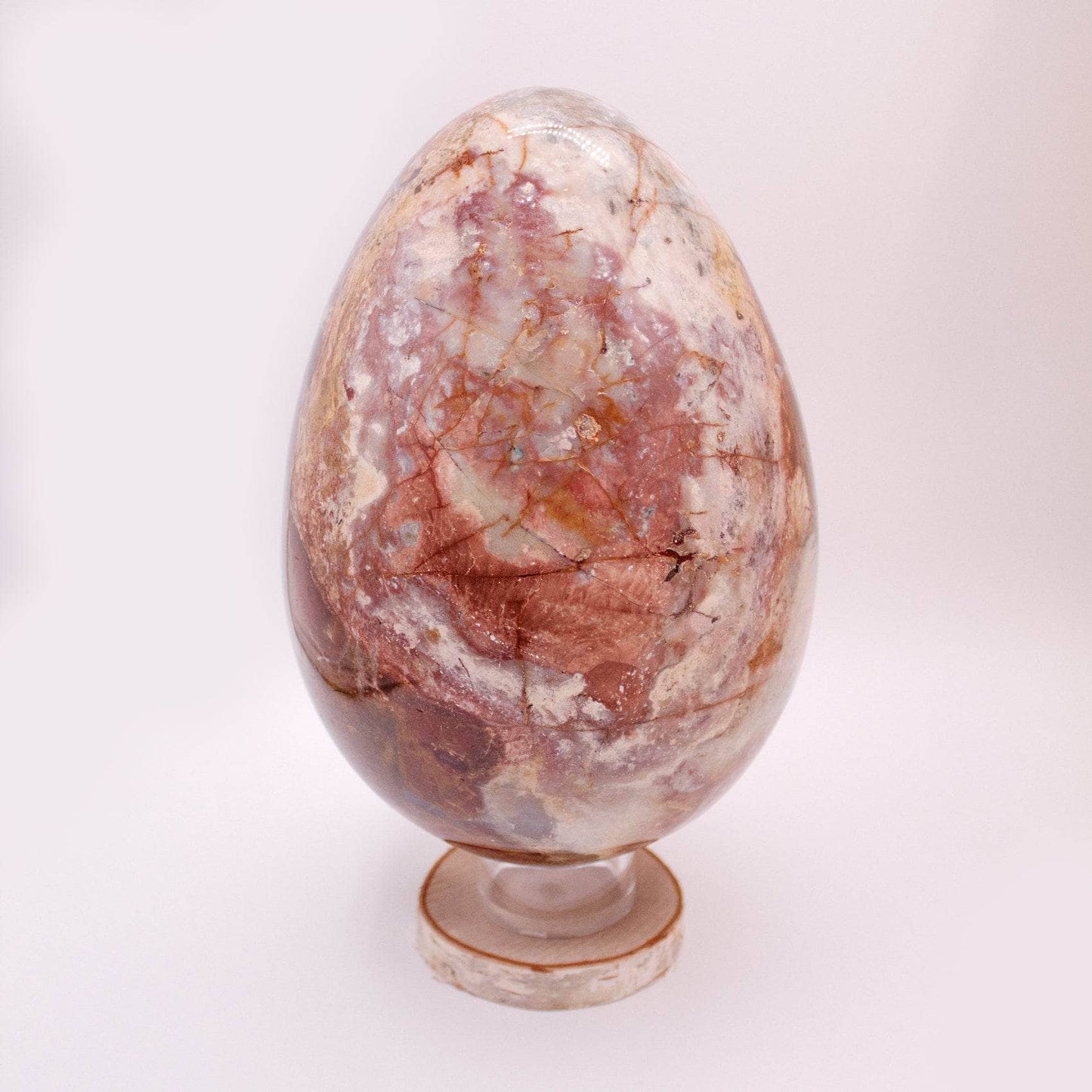 Petrified Wood Egg - AAA Premium Quality