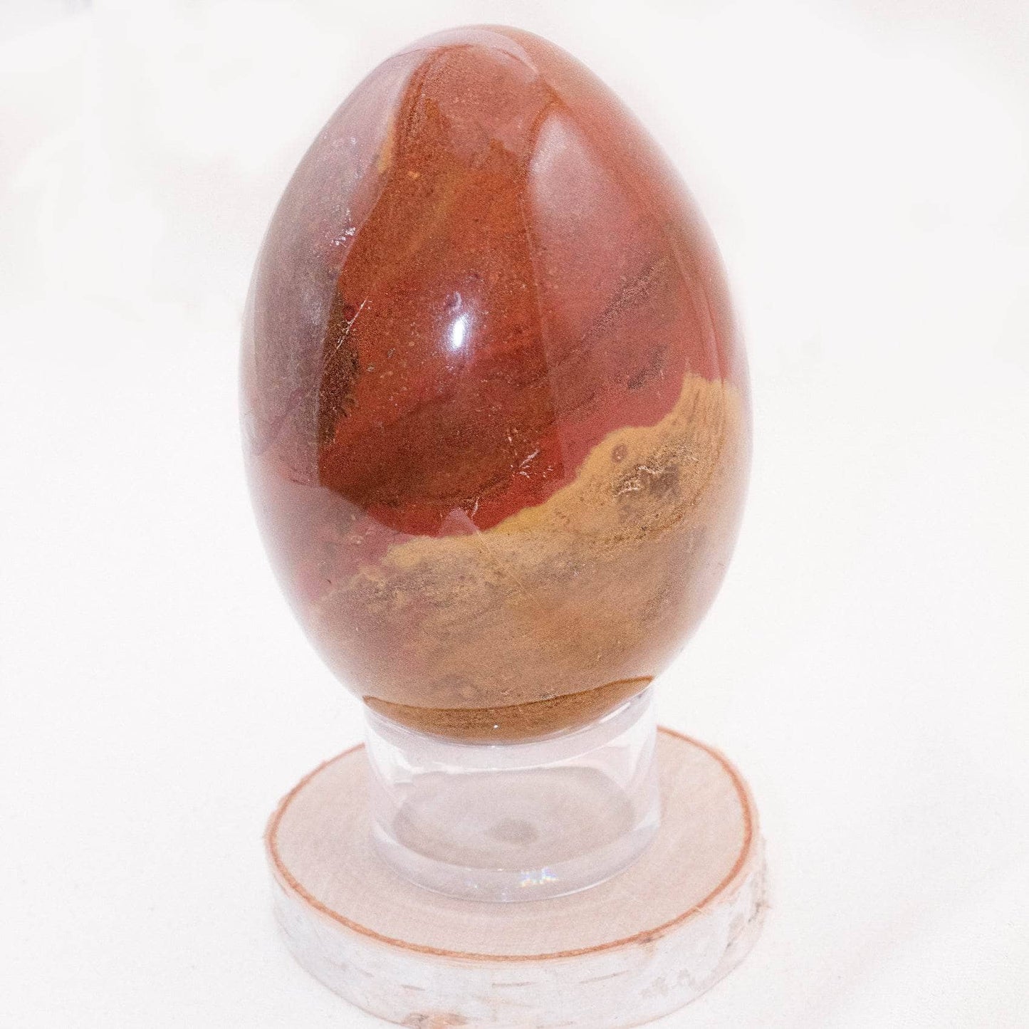 Petrified Wood Egg - AAA Premium Quality