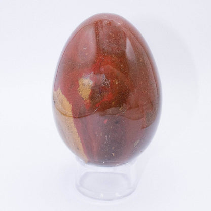 Petrified Wood Egg - AAA Premium Quality