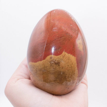 Petrified Wood Egg - AAA Premium Quality