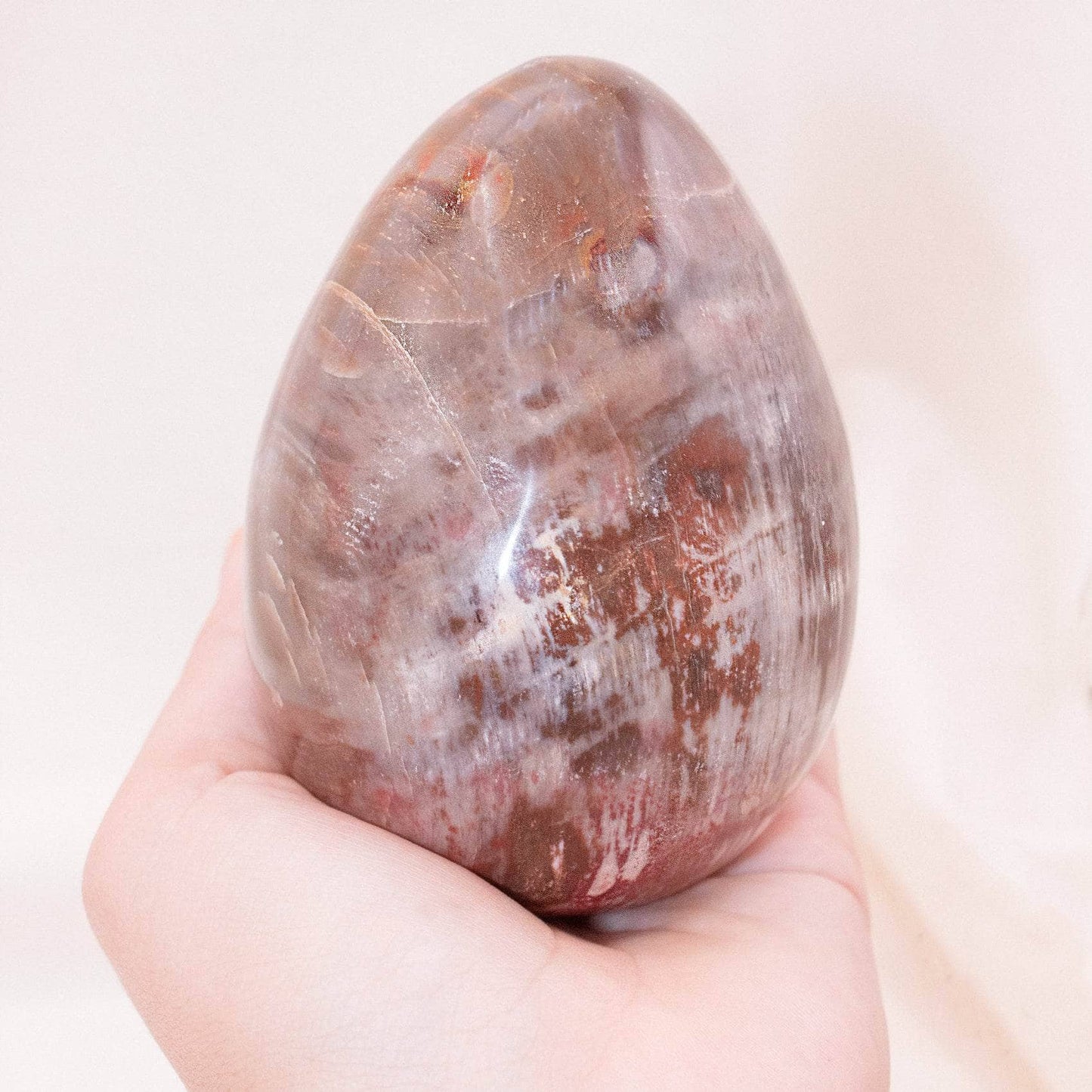 Petrified Wood Egg - AAA Premium Quality