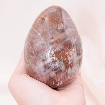 Petrified Wood Egg - AAA Premium Quality