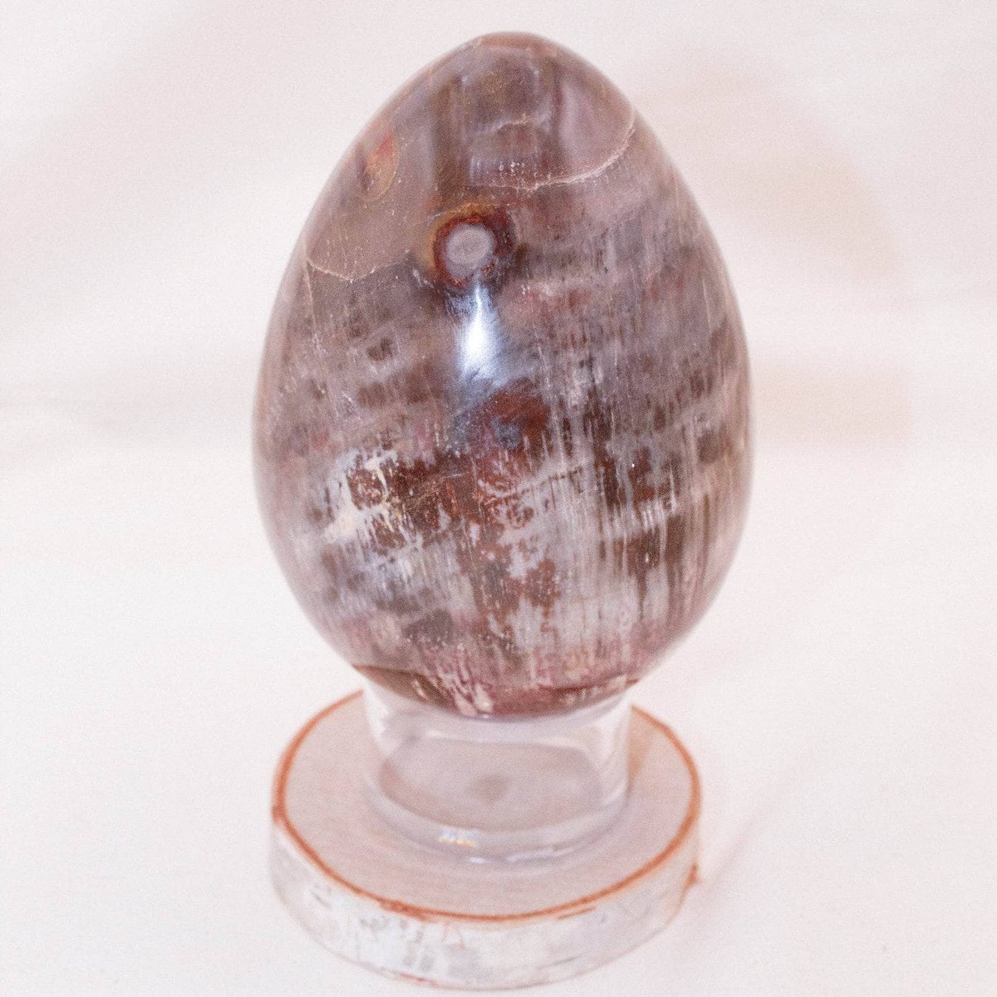 Petrified Wood Egg - AAA Premium Quality