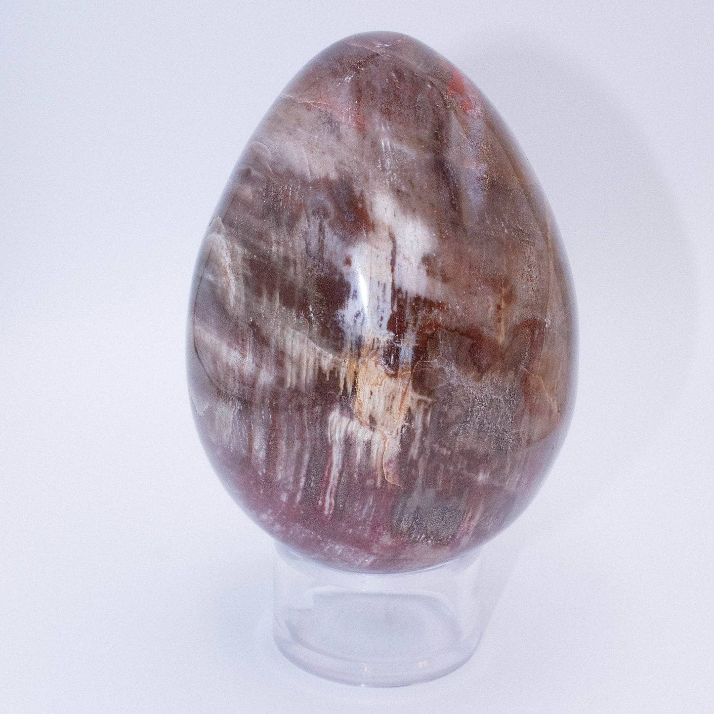 Petrified Wood Egg - AAA Premium Quality