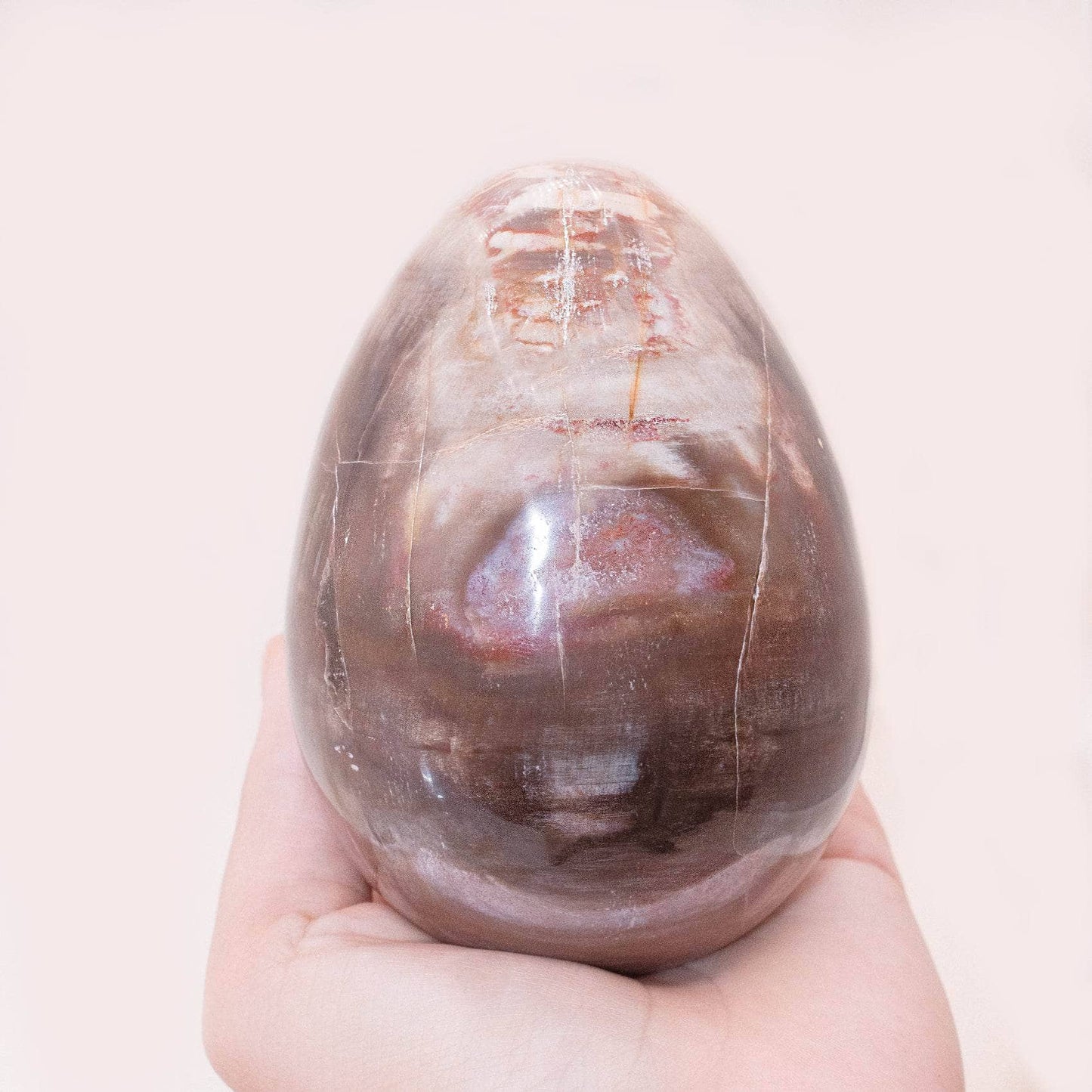 Petrified Wood Egg - AAA Premium Quality