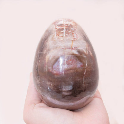 Petrified Wood Egg - AAA Premium Quality