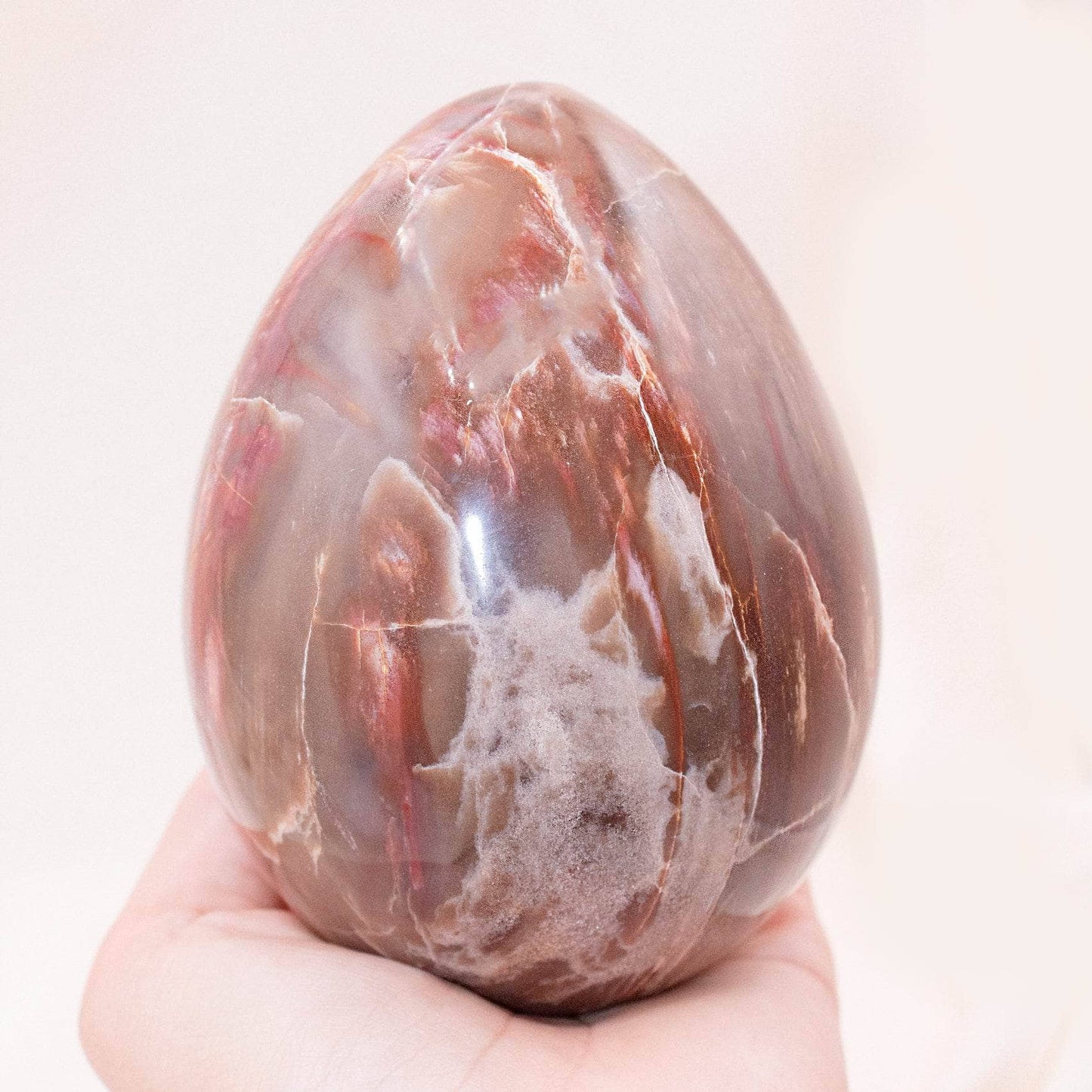 Petrified Wood Egg - AAA Premium Quality