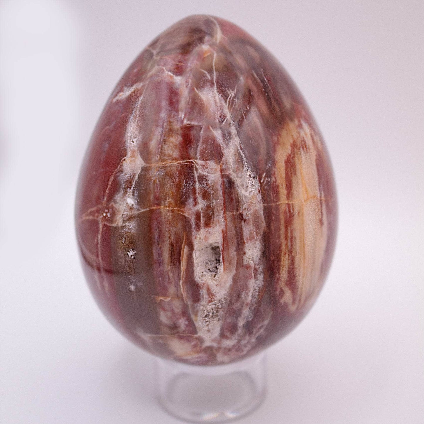 Petrified Wood Egg - AAA Premium Quality