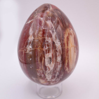 Petrified Wood Egg - AAA Premium Quality