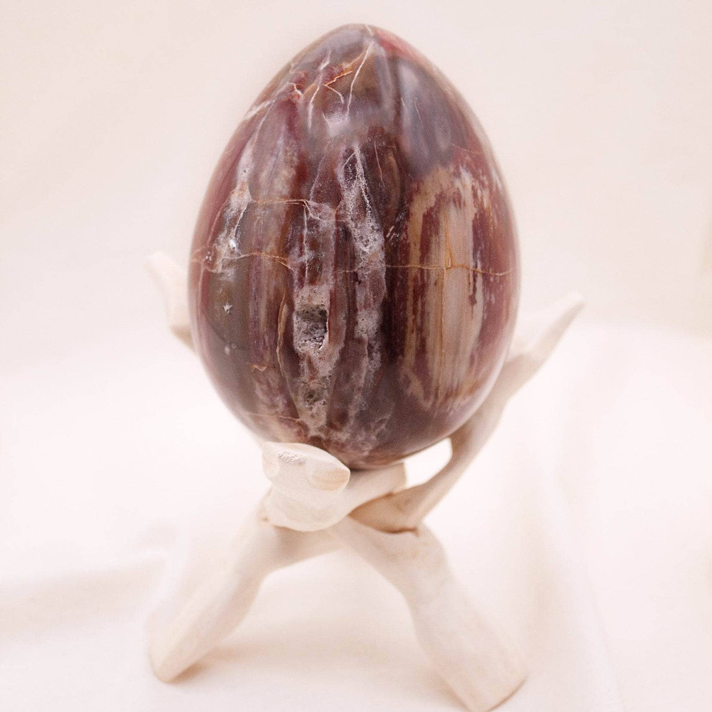 Petrified Wood Egg - AAA Premium Quality