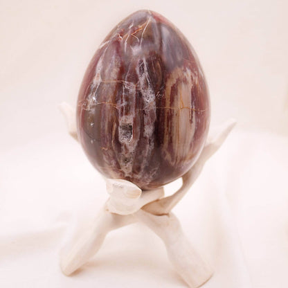 Petrified Wood Egg - AAA Premium Quality