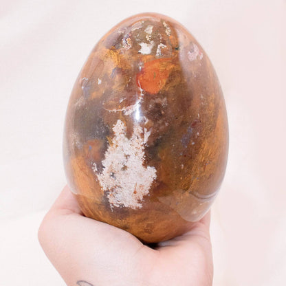 Petrified Wood Egg - AAA Premium Quality