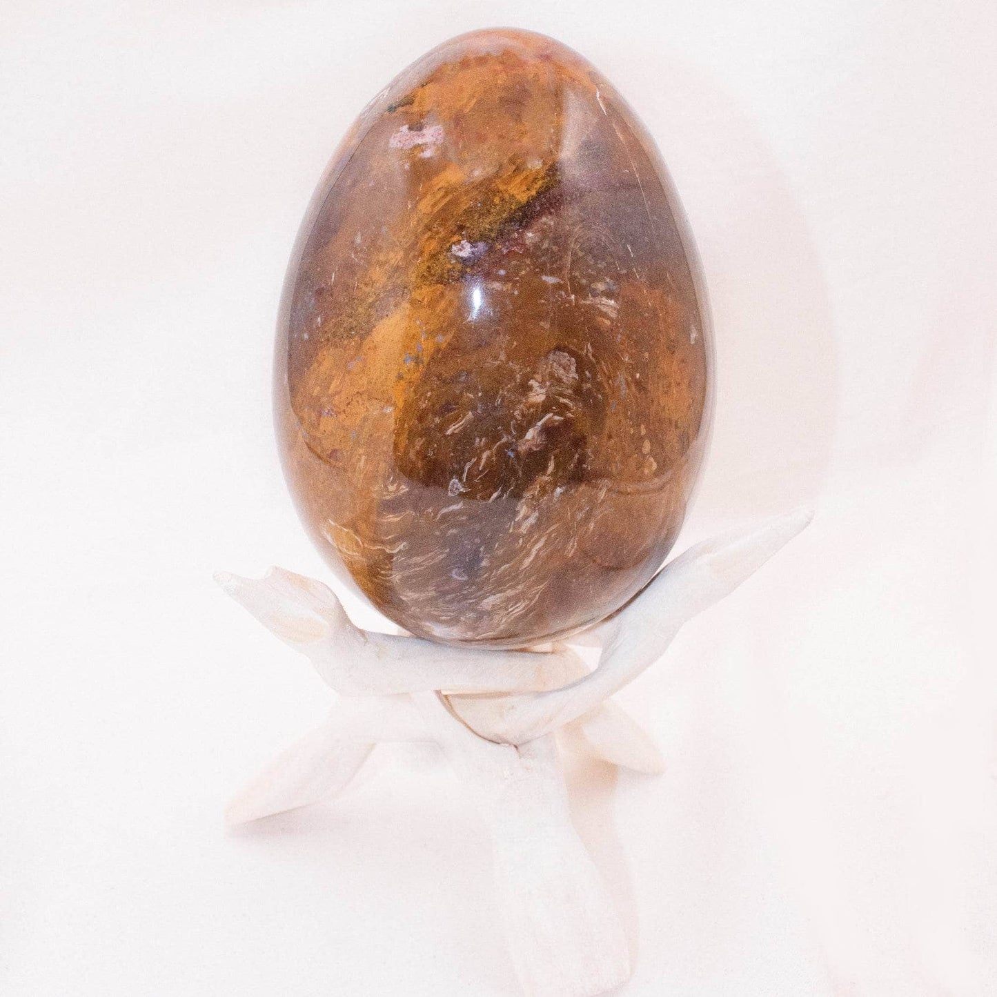 Petrified Wood Egg - AAA Premium Quality