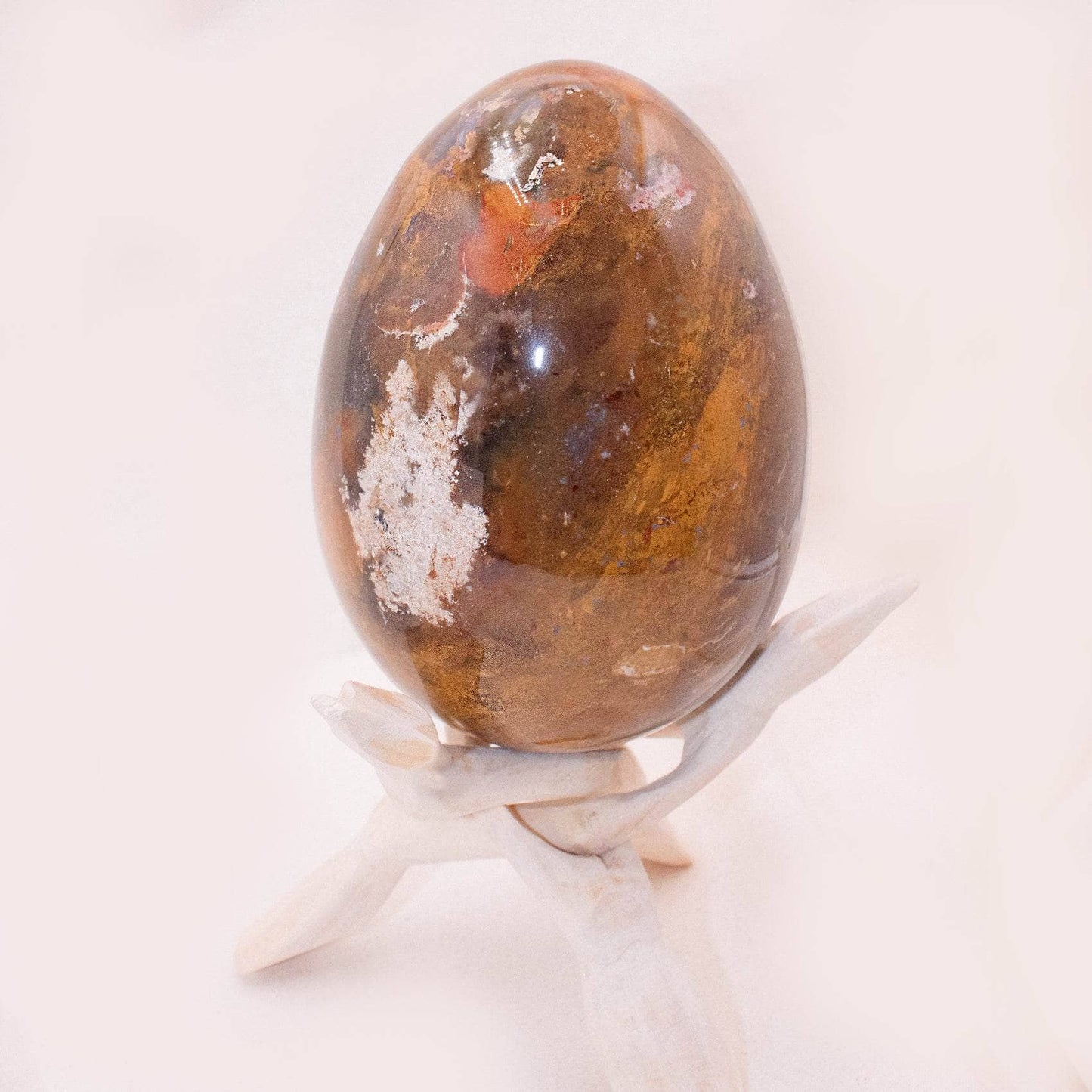 Petrified Wood Egg - AAA Premium Quality