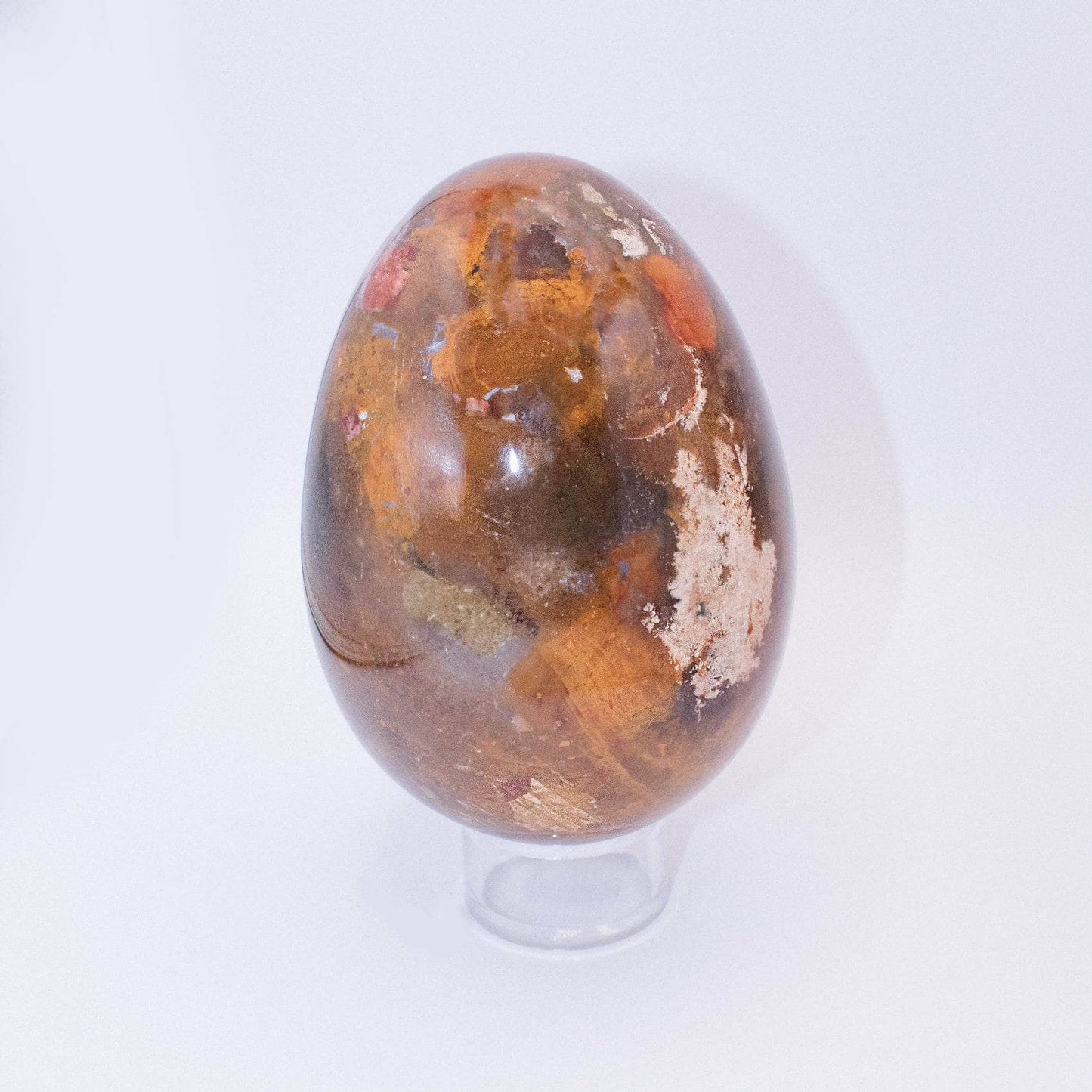 Petrified Wood Egg - AAA Premium Quality