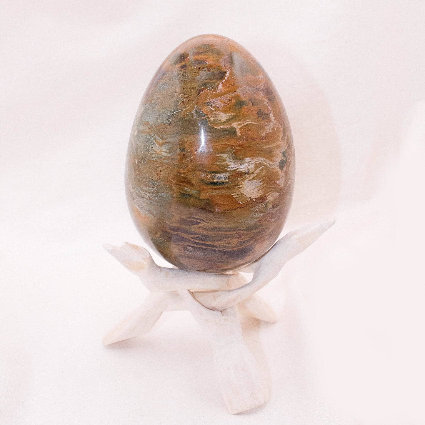 Petrified Wood Egg - AAA Premium Quality