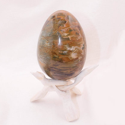 Petrified Wood Egg - AAA Premium Quality