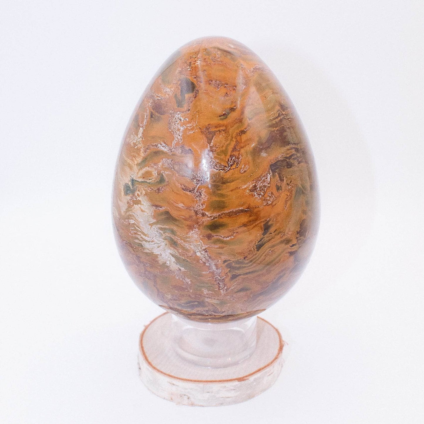 Petrified Wood Egg - AAA Premium Quality