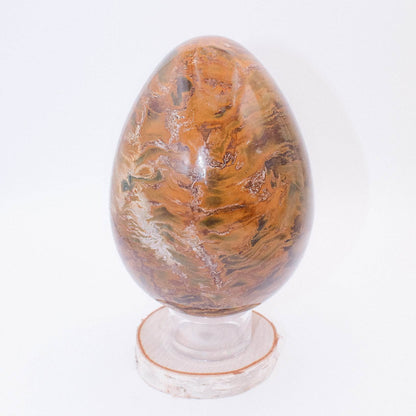 Petrified Wood Egg - AAA Premium Quality