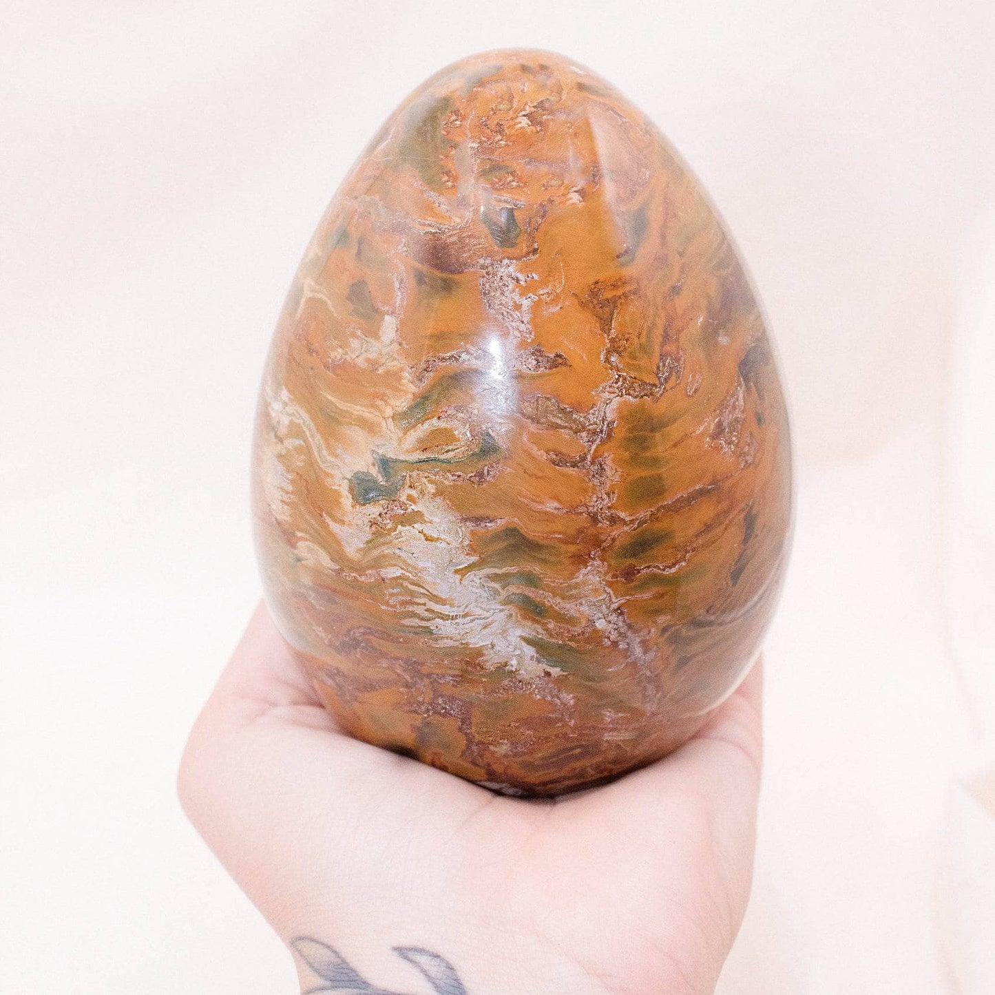 Petrified Wood Egg - AAA Premium Quality