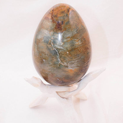 Petrified Wood Egg - AAA Premium Quality