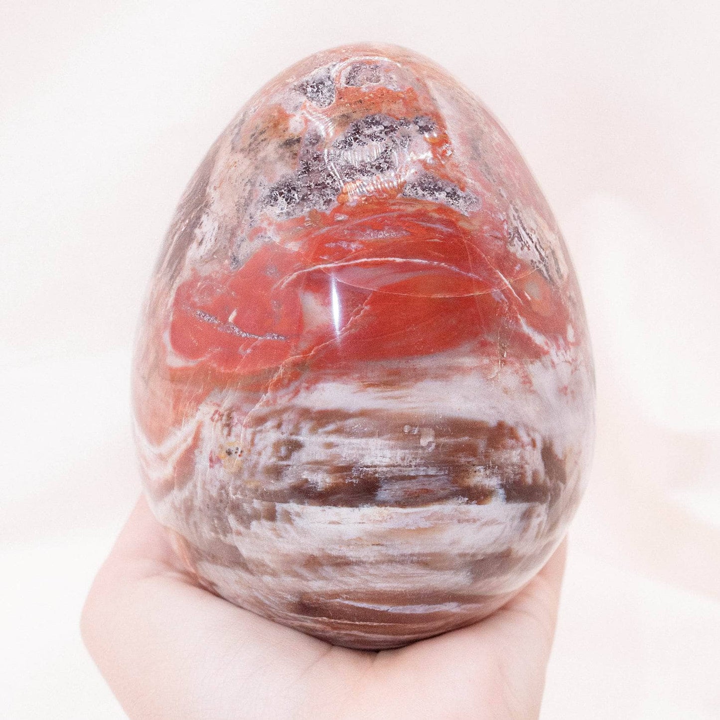 Petrified Wood Egg - AAA Premium Quality