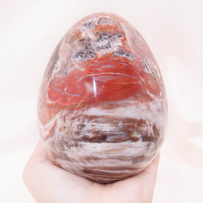 Petrified Wood Egg - AAA Premium Quality