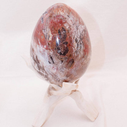 Petrified Wood Egg - AAA Premium Quality